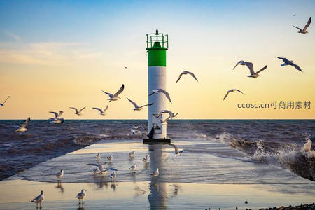 绿白灯塔矗立海堤，群鸥翱翔浪花飞溅