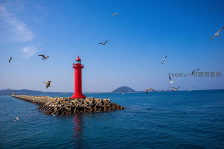鲜红灯塔立海中，群鸟盘旋碧波上
