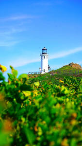 绿野远眺白塔映蓝天