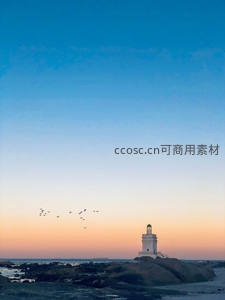 白塔夕照飞鸟掠过海天际