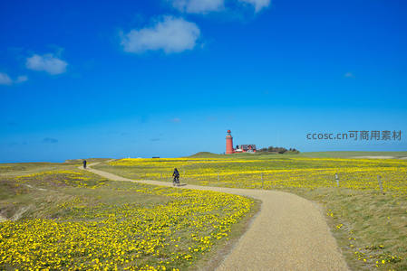 春日花海小径，骑行者远眺红色灯塔
