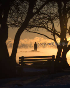 雾中灯塔若隐现，树影长椅伴晨曦