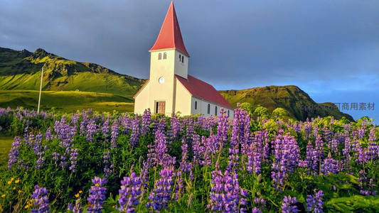 紫色花海中的童话小教堂