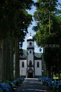 林荫小径尽头的白色教堂与蓝绣球花海