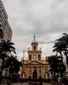 古典钟楼教堂矗立于棕榈树间