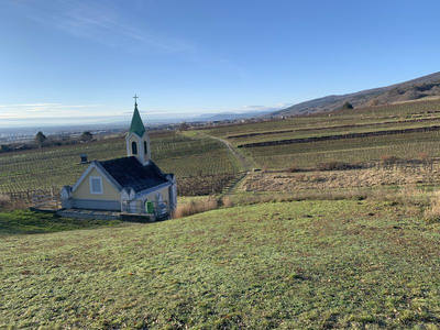 田园小教堂静卧葡萄园中