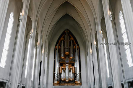 高耸拱廊中的宏伟管风琴