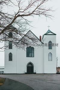 冬日枝桠下的白色教堂静谧肃穆
