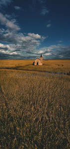 孤寺立于金色麦田中