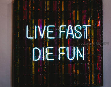霓虹灯牌‘LIVE FAST DIE FUN’艺术墙