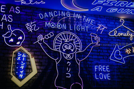 霓虹夜墙，猫熊举杯舞月光