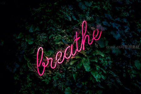 绿植墙上的粉色手写体霓虹