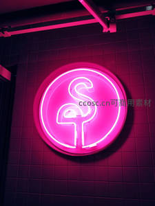 粉色火烈鸟霓虹灯装饰墙面