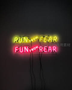 双层霓虹灯语‘RUN FROM FEAR FUN FROM REAR’