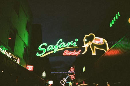 霓虹大象招牌点亮夜空街道