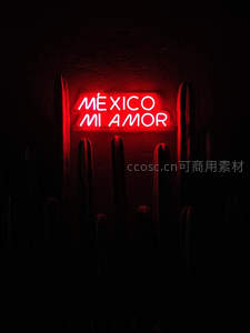 红色霓虹灯牌 Mexico Mi Amor 仙人掌前