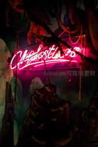 粉色霓虹招牌悬于奇幻壁画前