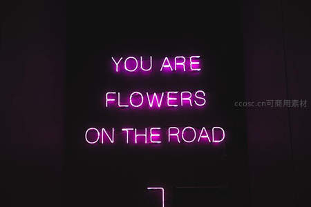 暗室粉紫霓虹励志语录