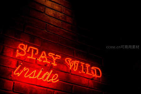 红光霓虹标语‘Stay Wild Inside’