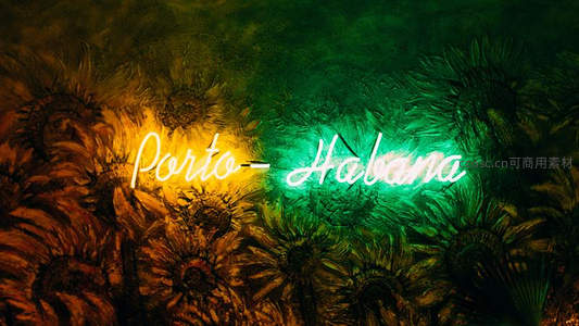 霓虹花海中Porto-Habana字样闪耀