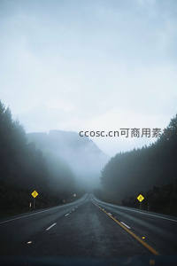 雾中公路，两旁森林隐现，前方路途朦胧