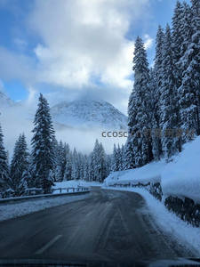 雪松夹道，山路蜿蜒，云雾缭绕峰顶