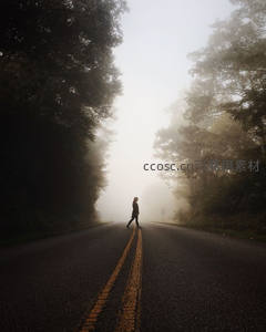 雾中孤影漫步林荫小径