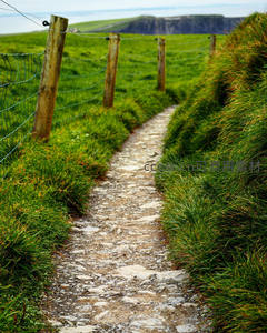 绿野仙踪般的石板小径