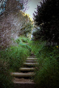 林间石阶小径通幽处