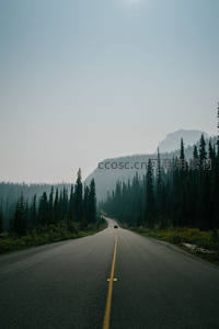 森林公路蜿蜒通向雾中山峰