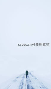 雪原孤影行路难，天地一色寂无声