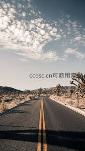 沙漠公路延伸至远方，约书亚树点缀荒野