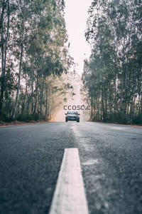 晨雾林间公路上驶来的汽车剪影