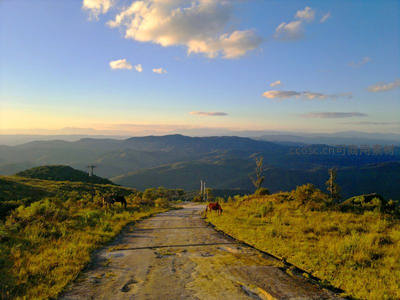 夕阳下山间小径马儿悠然吃草