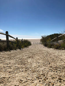 沙滩小径通向蔚蓝大海与晴空