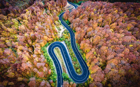 秋日森林中航拍S形公路奇景