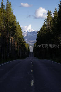 林间大道通雪山，蓝天白云相映成趣