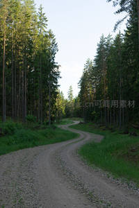 森林深处的蜿蜒土路通向宁静