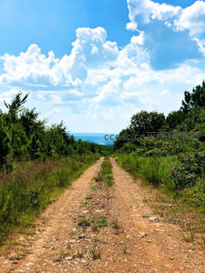 晴空下的乡间小径通往远方山峦