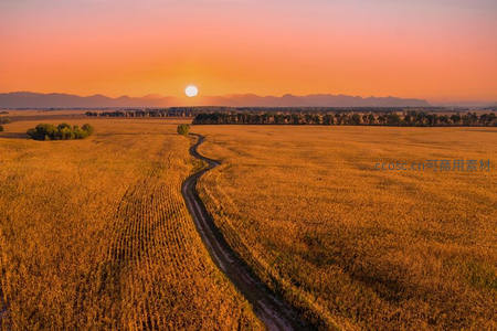 金色麦田日落时分，乡间小径通向远方
