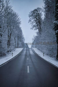 雪覆林间空旷公路