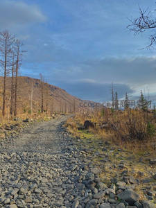 碎石小径通向远山