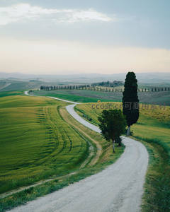 托斯卡纳乡间弯道绿意盎然
