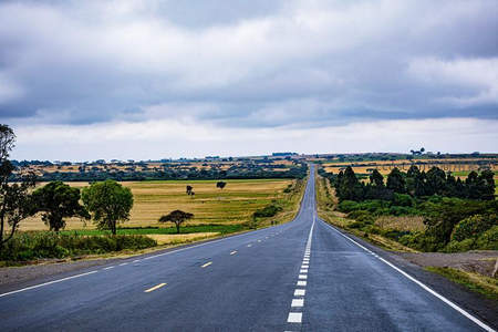 乡间公路延伸至远方田野