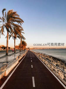 海滨棕榈道夕阳漫步