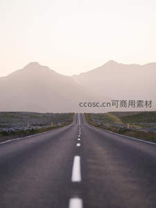 空旷公路伸向远山，紫花点缀路旁