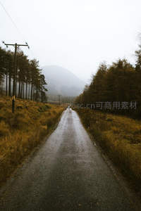 雨后林间小径通向雾中远山