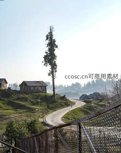山丘上的木屋与孤树相伴的弯道