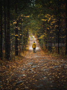 秋林小径行人背影踏落叶