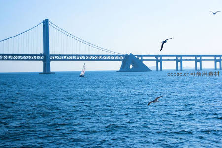 跨海大桥下帆船点点与飞鸟掠过